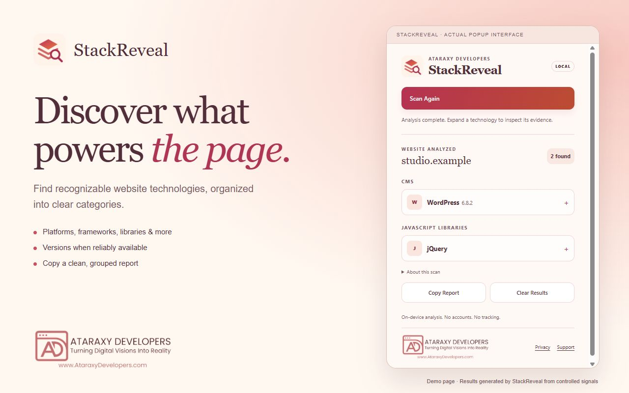 StackReveal showing categorized technology results on a labeled demo page